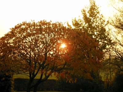Herbstliche Morgenstimmung