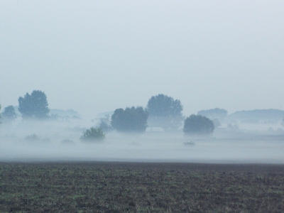 Nebel am Morgen 02