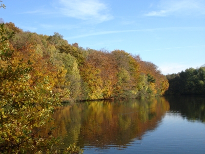 Herbst im Broichbachtal
