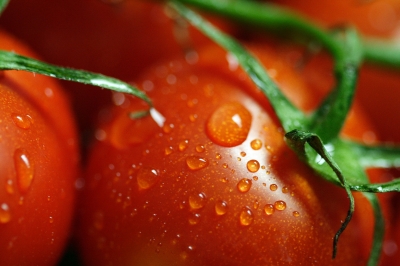 Tomaten II
