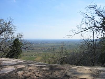 Blick über die Rheinebene