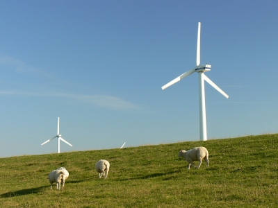 Insel Föhr - Die Grüne