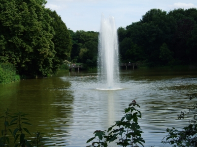 Wasserfontäne