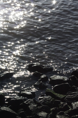 Elbe im Gegenlicht