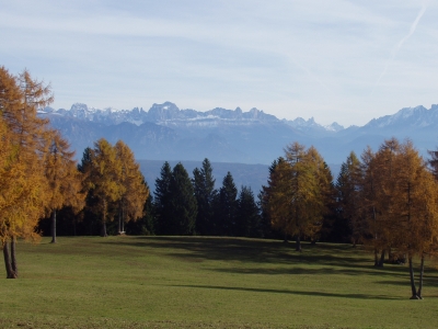 Rosengarten