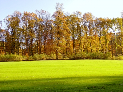 Herbst auf dem Golfplatz 1