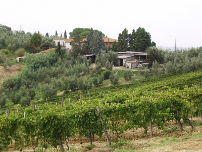 Toscana-Landschaft