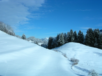 Unberührte Schneelandschaft