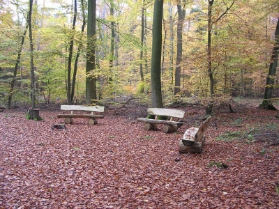 Bänke im Herbstwald