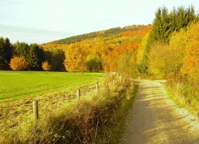 Herbstlandschaft