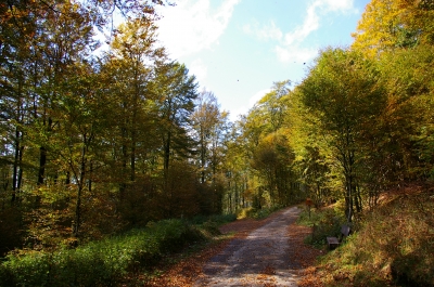 Wanderweg am Ettelsberg