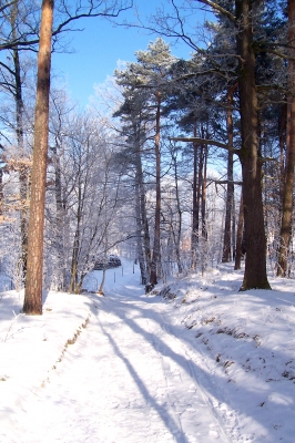 Verschneiter Weg im Winter