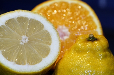 Zitrone & Orange I