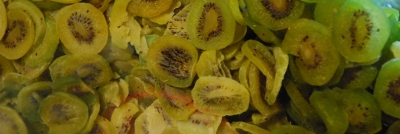 Trockenfrüchte - Kiwi