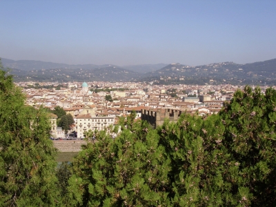 Blick auf Florenz 4