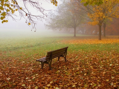 Bank im Nebel 2