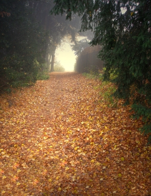 Kein Durchblick wegen Nebel