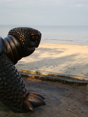 Schildkröte am Strand in Jurmala
