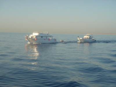 Abschleppen auf dem ROTEN MEER