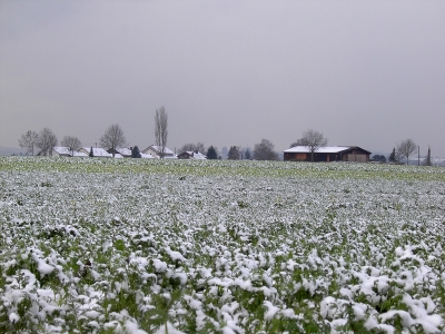 Erster Schnee in Oberboihingen 2007