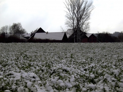 Erster Schnee auf dem Tachenhäuser Hof 2007