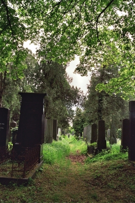058_Zentralfriedhof