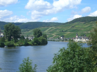 Blick auf die Mosel 02