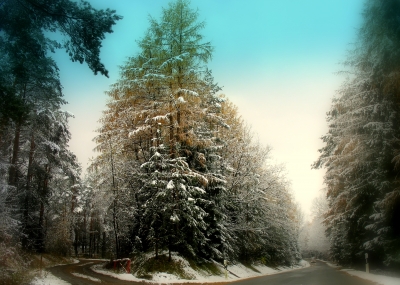 "Verzauberte Straßen"