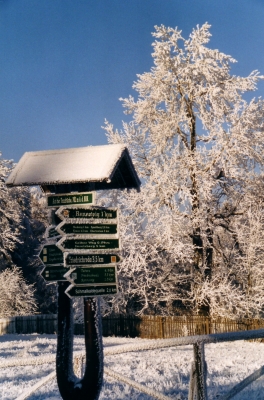 Winter im Thüringer Wald 3