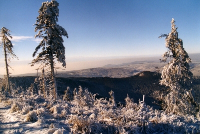 Winter im Thüringer Wald 4