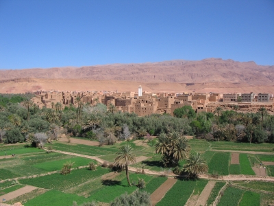 Oase in Marokko