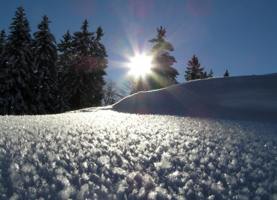 traumwinter in graubünden