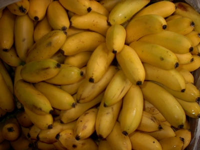 bananen ecuador