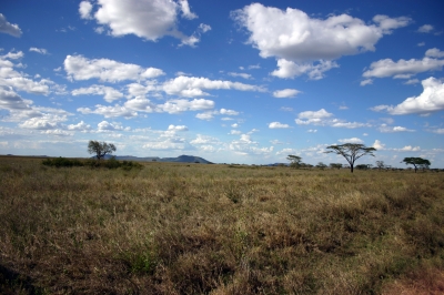 Serengeti heißt unendliche Weite