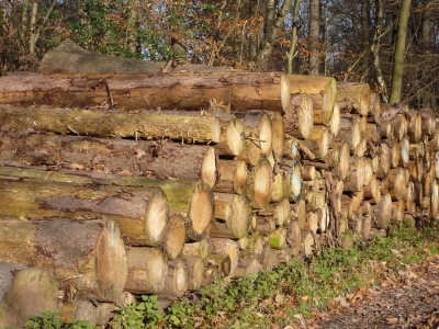 Holzstapel