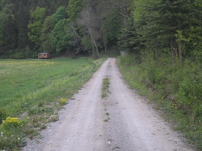 Wanderweg durch Feld und Wald