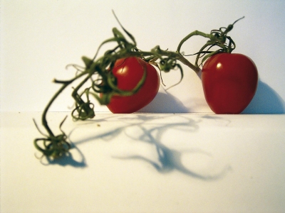 Tomaten Stilleben