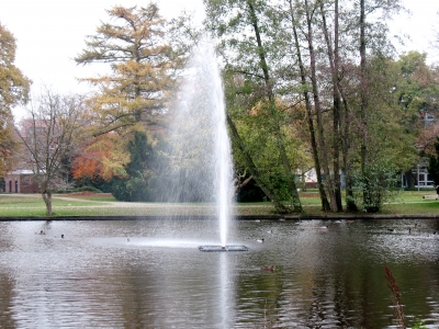 Winsen Wasserfontäne im Schloßpark