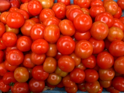 tomaten aus ecuador