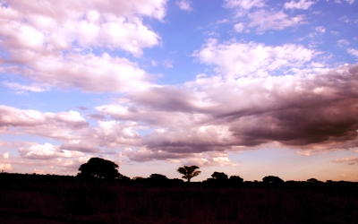 Abendlicher Himmel über der Serengeti