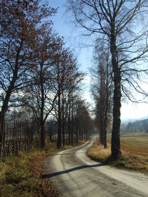 Landschaft in Norwegen