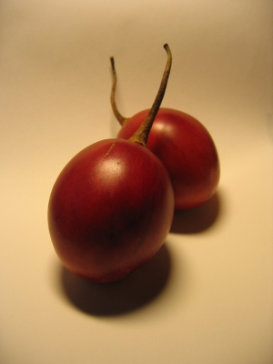 Tamarillo