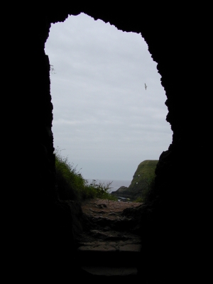 Höhle bei Dunnotar Castle