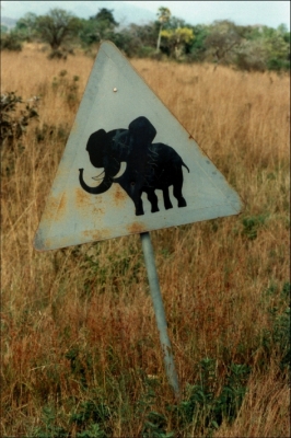 Achtung Elefanten