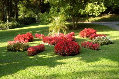 Stadtgarten Überlingen