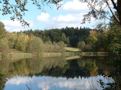 Herbst am See