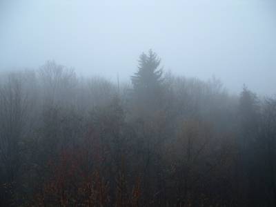 Nebel