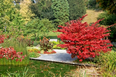 Stadtgarten Überlingen zur Herbstzeit