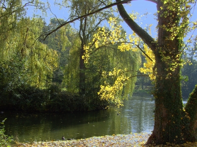 Stadtpark St. Ingbert im Herbst
