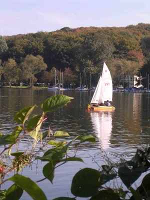 Der letzte Herbstsegler auf der Ruhr